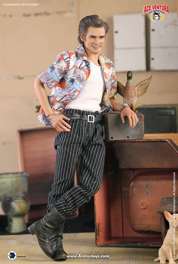 Ace Ventura - Ein tierischer Detektiv Actionfigur 1/6 Ace Ventura 30 cm